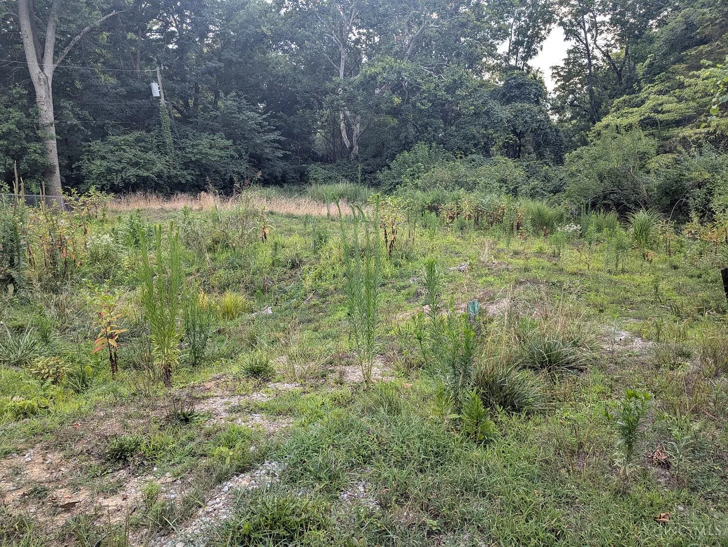 7053 Paddison Rd photo 1