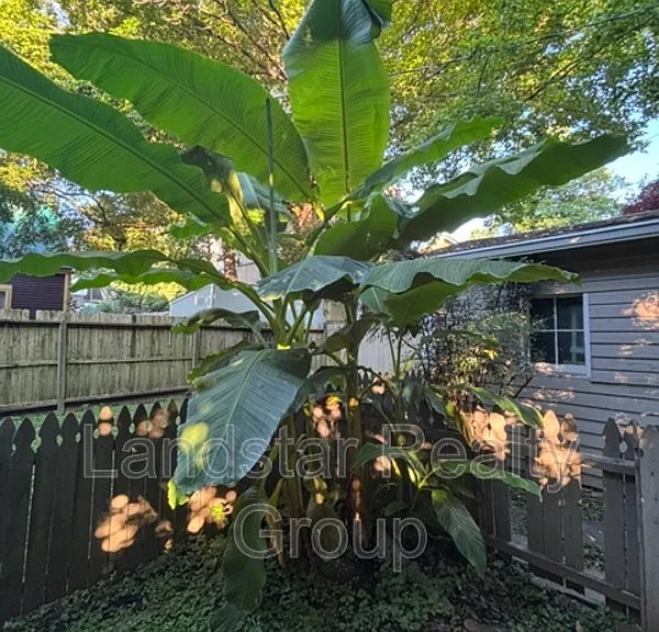 2127 Grinstead Dr #1 — Photo 34