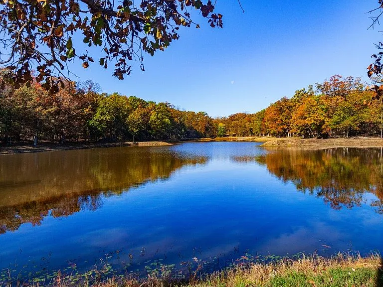 Come fish on the lake!