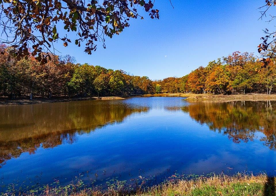 Come fish on the lake!