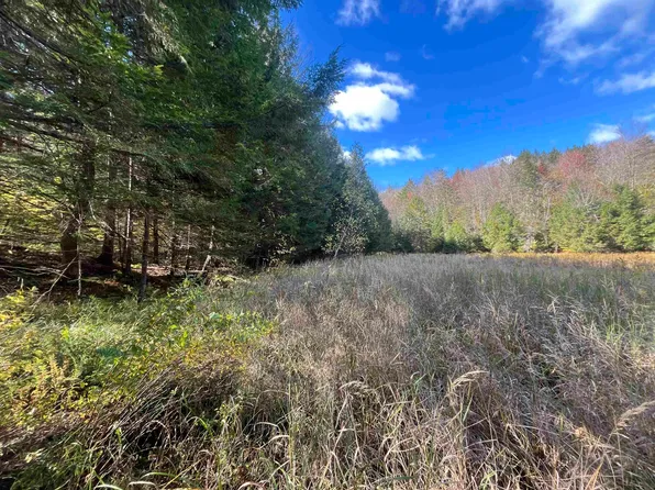 720 Bat Hennessy Road, Moretown, VT 05660