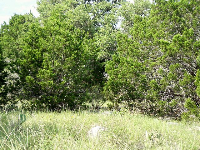 1st image of 1327 David Crockett