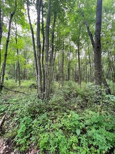 151 Dennison Run Rd, Polk, PA, 16342