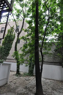 Rented by Village Dwellings | media 24