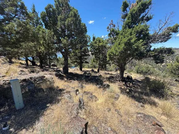 U 9 1 Stone Crest Dr Lot 235, Weed, CA 96094