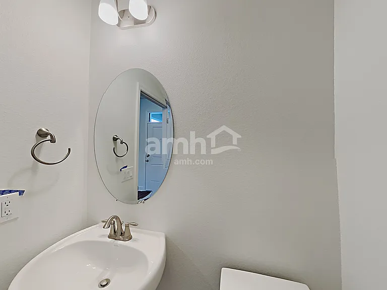 1397 Celery Palm Cv — Photo 11