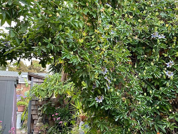 Private entrance to the cottage