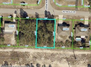 12482 Seybold Dr, Spring Hill, FL 34608