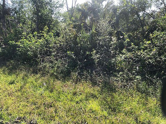 3rd image of 7402 Pinedale Dr