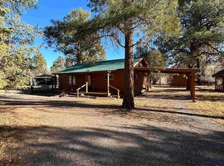 1 Ute Trl, South Fork, CO 81154