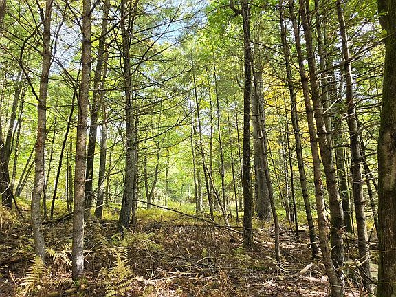 4th image of LOT 6.17 State Route 97