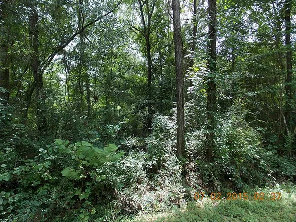 2555 Fountain View St, New Caney, TX 77357