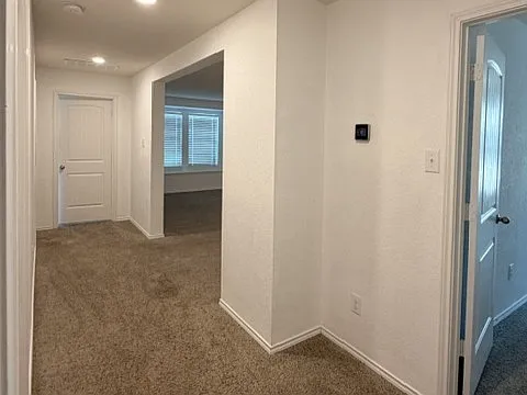 315 Reunion Ln — Photo 12