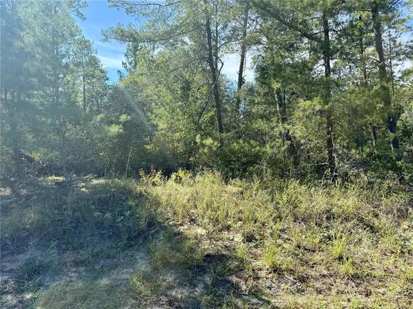 4419 W MALALUKA CIRCLE LOT 3, CITRUS SPRINGS, FL 34433