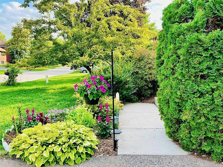 Entry Terrace.