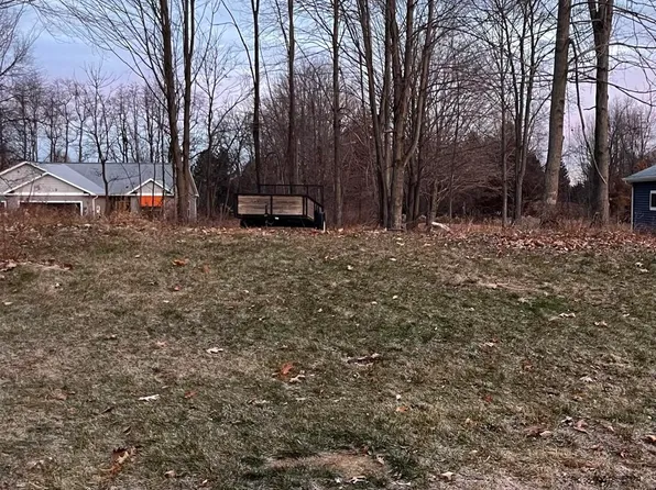 McGwire Way, Ionia, MI 48846