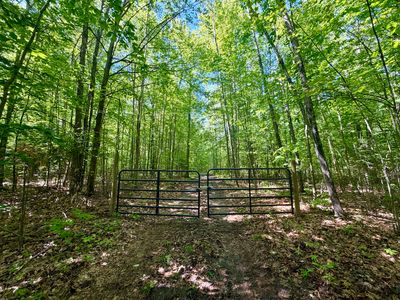 Jones Rd, Glennie, MI, 48737