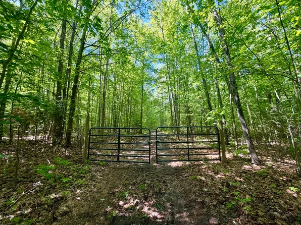 Jones Rd, Glennie, MI 48737
