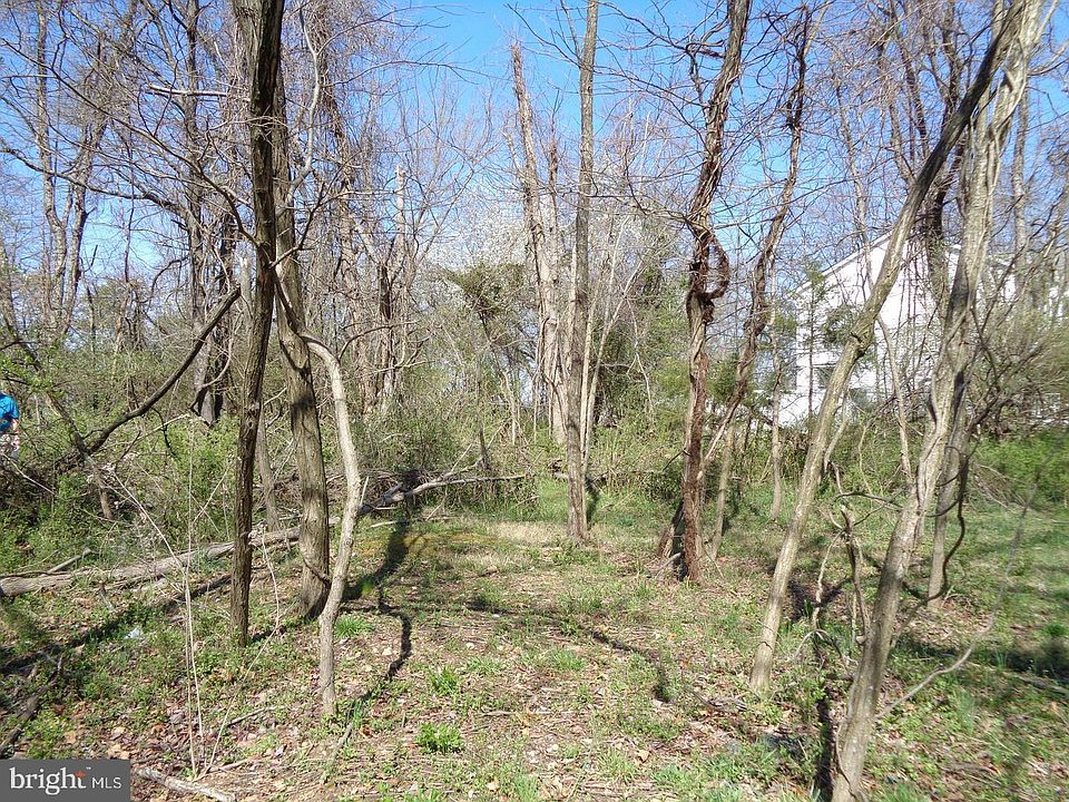 2nd image of 12355 Potomac View Dr