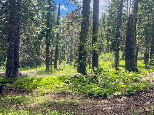 1116 Highlands Rd, Bucks Lake, CA 95971