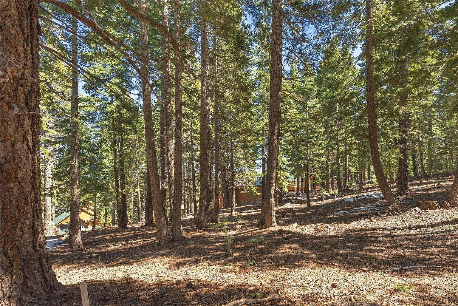 14059 Pathway Ave photo 1