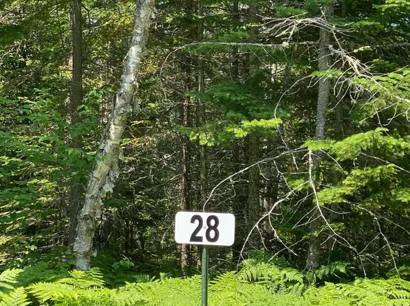 LOT 28 3rd Crk, Paradise, MI 49768