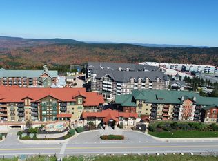 343 Rimfire Ldg, Snowshoe, WV 26209