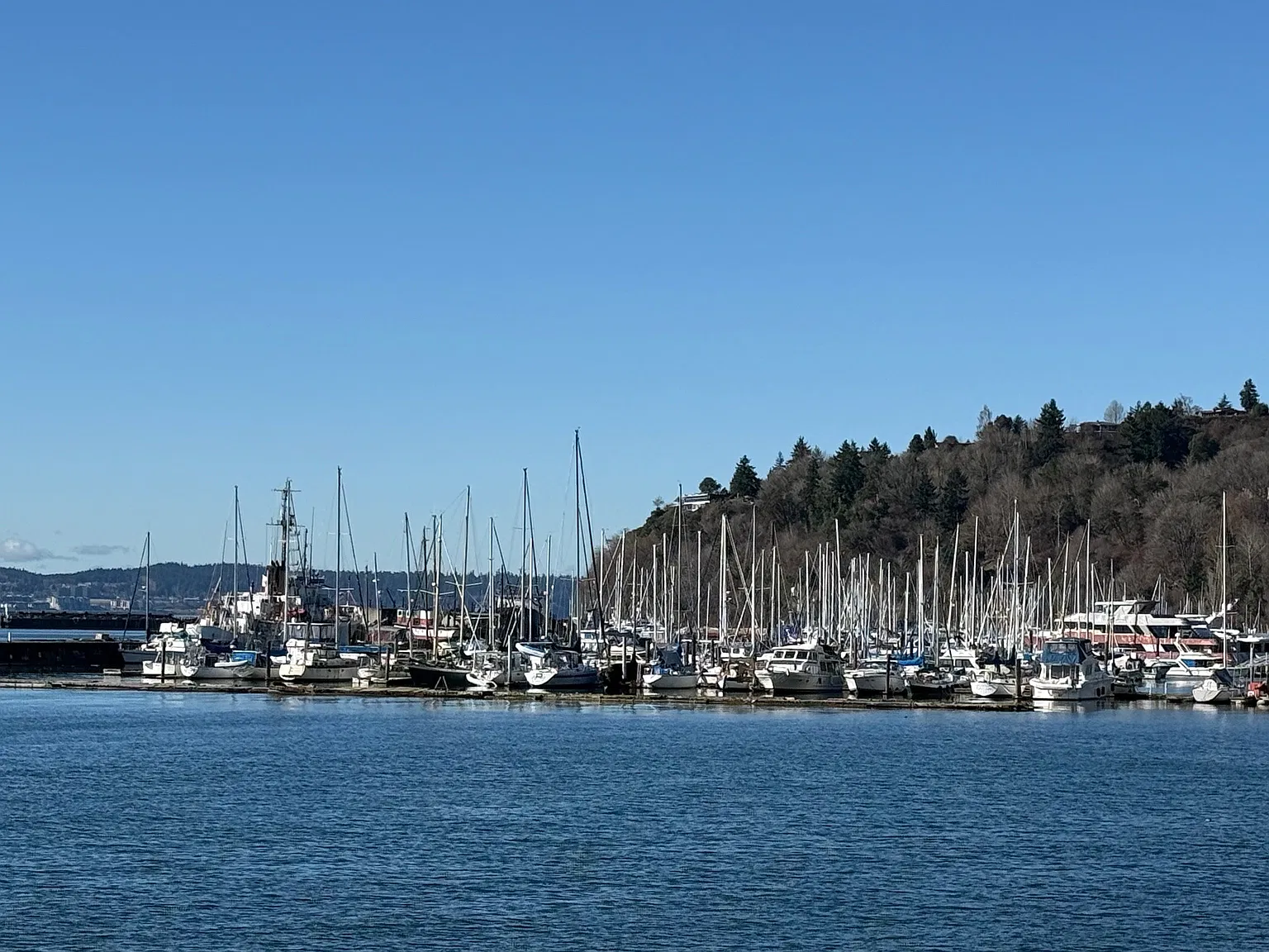 5110 Marine View Dr — Photo 4
