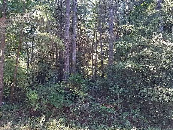 2nd image of 3116 28th Ave NW