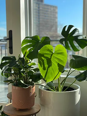 Rented by Keller Williams NYC | media 44