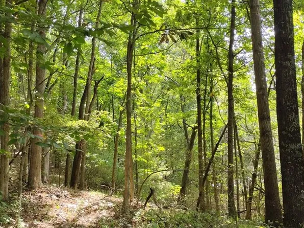 Tbd Cripple Creek Rd, Wytheville, VA 24382