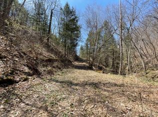 0 Welty Rd #2, Lindley, NY 14858