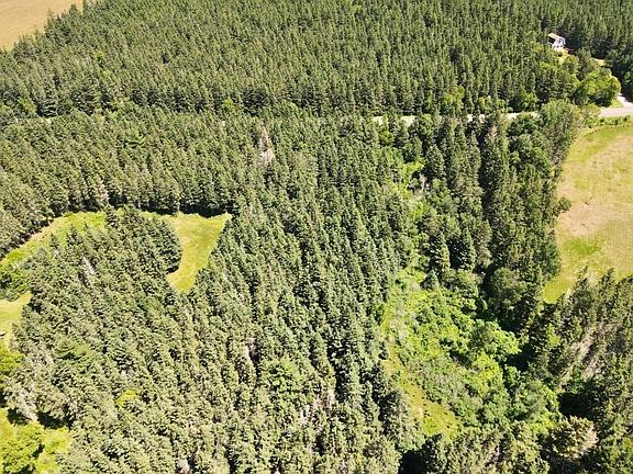 5th image of Trout River Rd