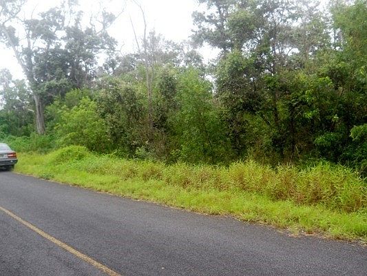 2nd image of Orchid Pkwy Lot 19