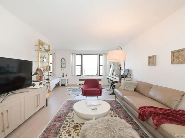 6 Birchwood Court #3A, Mineola, NY 11501