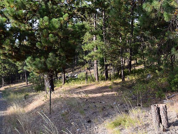 5th image of 11720 Hwy 970