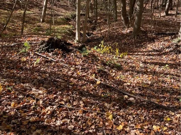 S/l 5 Big Creek Ridge Drive Rdg, Chardon, OH 44024