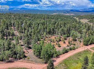 244 Spring Valley Ln, Florissant, CO 80816