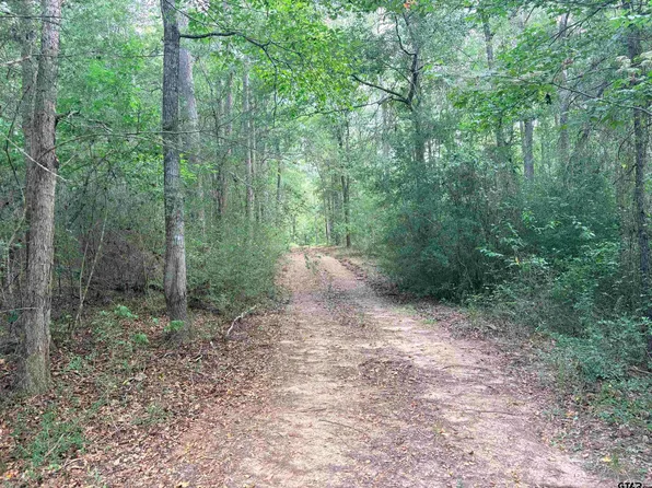 County Road 2125, Rusk, TX 75785