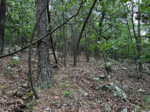 2nd image of W Boggy Mountain Rd