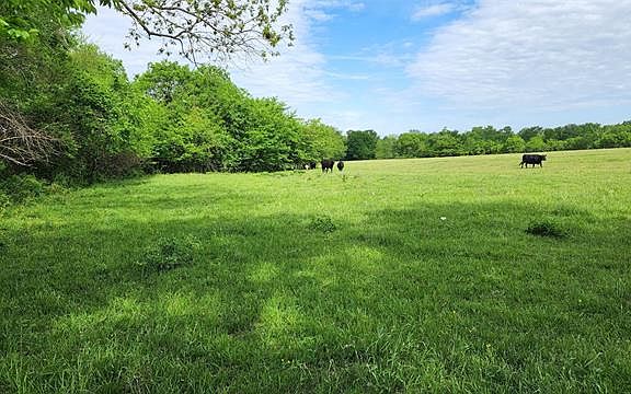 5th image of 887 County Road 4737