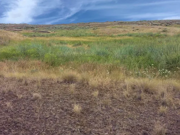 0 Scheibner Rd N, Wilbur, WA 99185