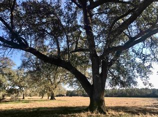 0 Open Pond Rd, Florala, AL 36442