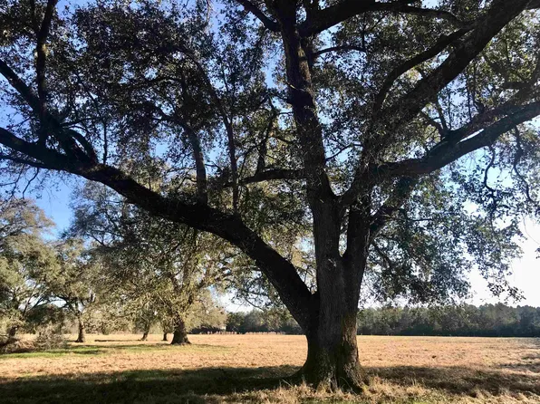 0 Open Pond Rd, Florala, AL 36442