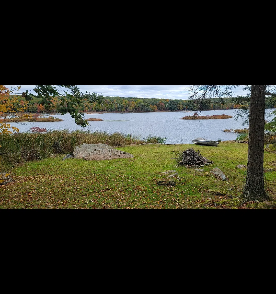 2 bed, 777 sqft, $2,500 — Photo 4