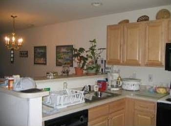 3rd image of 2204 Palm Dr