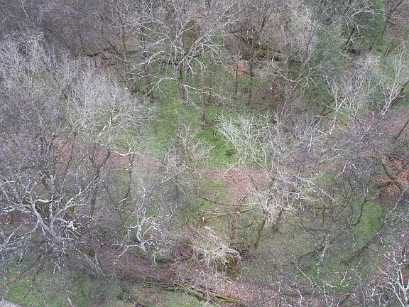 5th image of 0 Club Springs Rd