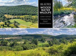 Lot #11 Franklin Depot Road, Sidney, NY 13838