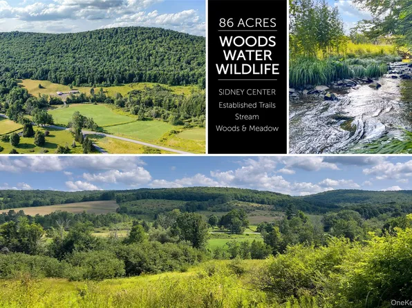 Lot #11 Franklin Depot Road, Sidney, NY 13838