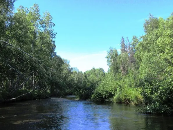 Township Road D Mile #93, Talkeetna, AK 99676
